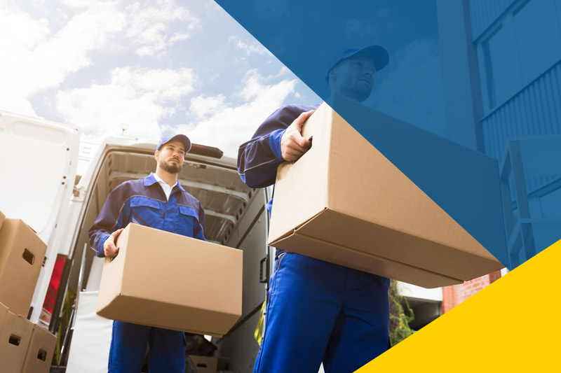 Дистрибьюция