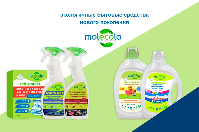 Обзор новинок от бренда Molecola