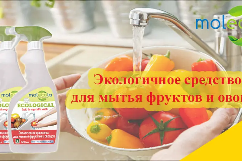 Molecola - новинка для каждого дома