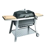 FORESTER Скворчер PROF NEW GENERATION (1)